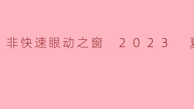 非快速眼动之窗 2023 夏